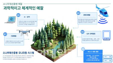 소나무재선충병 예찰 과정. (사진=산림청 제공)