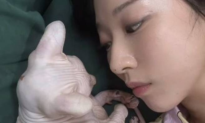 배우 김선아가 故 설리의 반려묘 ‘고블린’의 근황을 전했다. 김선아 SNS 캡처