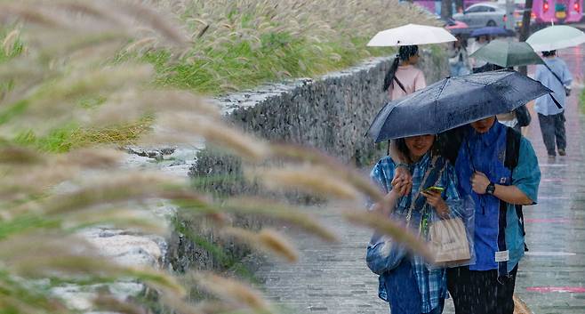 전국 대부분 지역에 가을비가 내린 24일 서울 종로구 열린송현 녹지광장에 심어진 수크령 앞을 시민들이 지나가고 있다.
