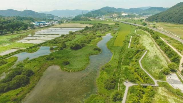지난 여름 촬영한 화포천습지 일대 모습. 김해시 제공