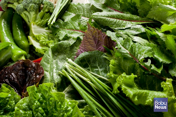 쓴맛은 우리 몸에서 스트레스로 인해 항진된 교감신경을 안정시키는 역할을 한다. ⓒ베이비뉴스