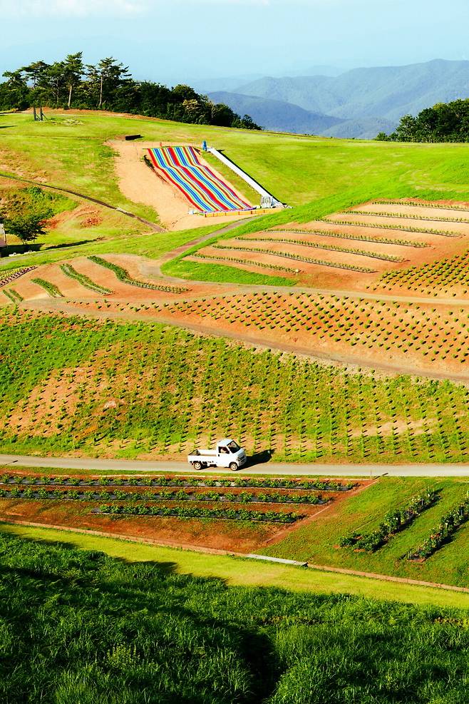 시가의 하코다테 산 전망대
