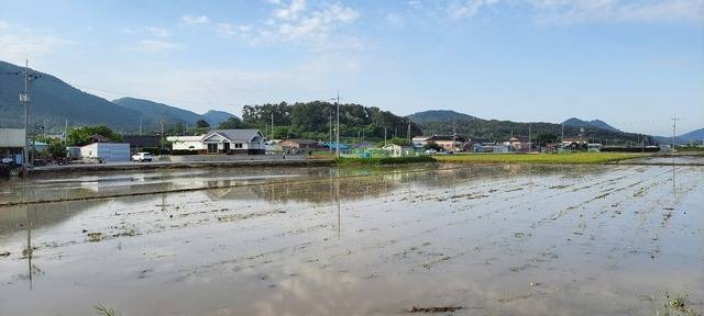 사라진 검당마을 뒤쪽에 조성된 사등마을. 필자촬영