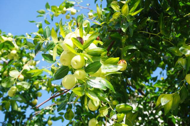 ▲ 서서히 가을이 오고 있는 동해.