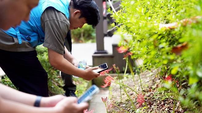 두산밥캣 본사 임직원들이 판교 금토산에서 생물탐사 활동을 진행하고 있다 /사진제공=두산밥캣