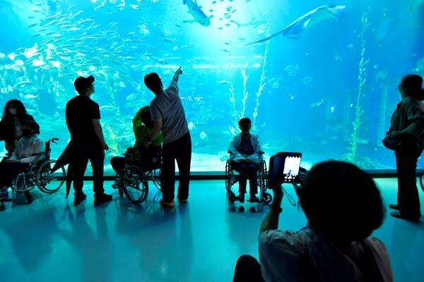 '장애인과 비장애인이 함께하는 2025 아름다운 동행-열 사람의 한걸음'