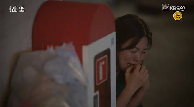 KBS 2TV '화려한 날들' 캡처