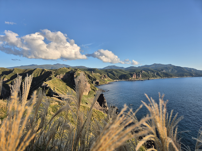 viewimage.php?id=23b2db27ebc637&no=24b0d769e1d32ca73de881fa1bd625316c62e980e784fbc8e91fb0a20b632045d02ac67d1a0401468534e00d1dc8f04140bf1cd2f6eb13c84da8f71e826bd5fd231981