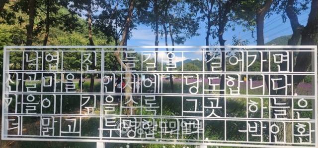 ▲ ‘꽃마을 인제’ 2025 인제 가을꽃 축제가 27일 개막했다. 올해로 7회째를 맞은 가을꽃 축제는 오는 10월 19일까지 23일간 인제군 북면 용대관광지 일원에서 열린다. 인제 꽃축제의 특별함을 선사하기 위해 차별화된 공간 구성과 함께 체험 프로그램이 강화됐으며 △행복하길 △사랑하길 △소통하길 △힐링하길 등 네 가지 테마로 꾸며졌다. 축제장 곳곳에 인파가 몰리고 있다. 이동명 기자