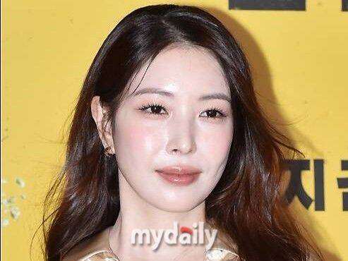 보아 / 마이데일리