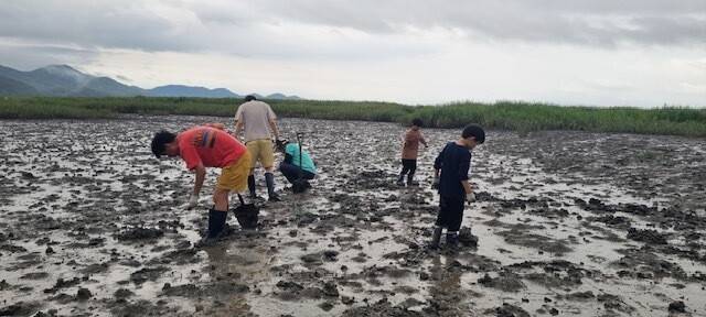 순천만습지에서 아이들이 갯벌 체험을 하고 있다. 순천만 정원도시센터 제공