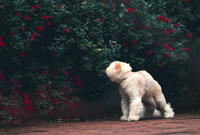 © unsplash reba-spike