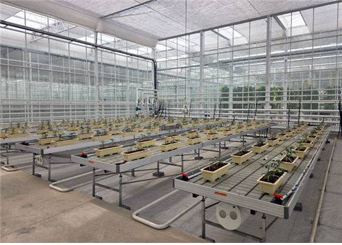 소형 DAC 설비 실증이 이뤄지고 있는 경상북도 상주 스마트팜혁신밸리 내에 위치한 에코프로에이치엔의 온실 모습. 화학연 제공