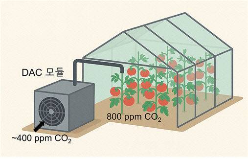 에코프로에이치엔이 KAIST, 화학연과 협력해 개발한 스마트팜용 DAC 시스템의 적용 개념도. 대기 중 희박한 농도의 CO2(400 ppm)를 선택적으로 포집해 온실 내에 고농도로 공급함으로써 작물 생장 최적화를 가능하게 하는 시스템이다. 화학연 제공