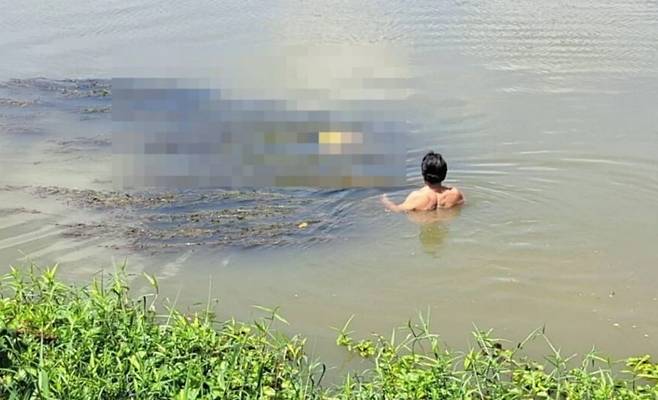 지난달 28일 매클롱 강에서 시신이 발견된 모습. /더타이거