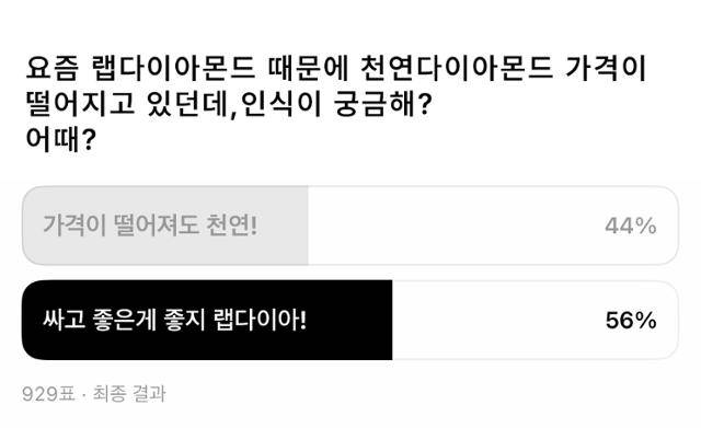 랩 다이아 관련 SNS 투표글 갈무리