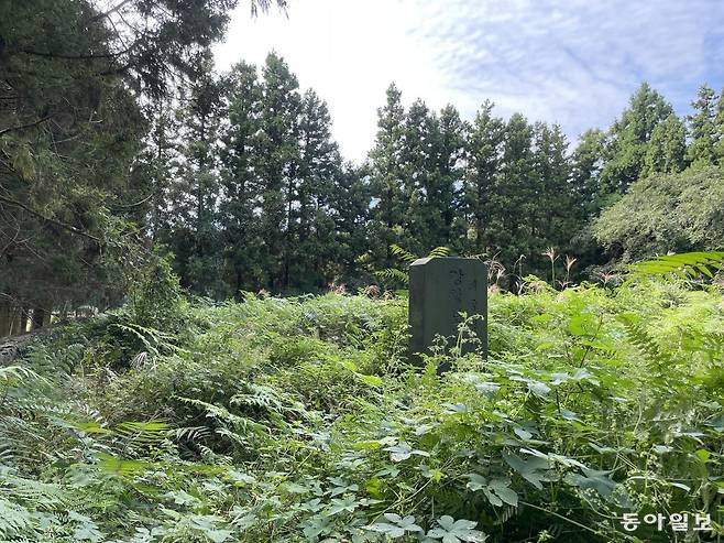 2일 제주 제주시 용강동 독립운동가 강창보 선생의 묘역. 이날 방문한 강 선생의 묘지는 한동안 관리되지 않은 듯 잡초 등이 성인 가슴 높이만큼 자라 있었다. 2m 높이의 추모 기념비만이 이곳이 강 선생이 묻힌 곳임을 알려줬다. 제주=송은범 기자 seb1119@donga.com