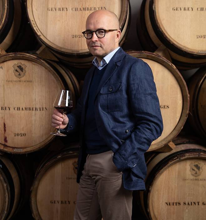 로랑 들로네. 홈페이지