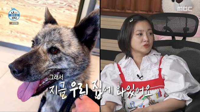 박나래가 진돗개를 입양했다. /사진=MBC '나 혼자 산다' 캡처