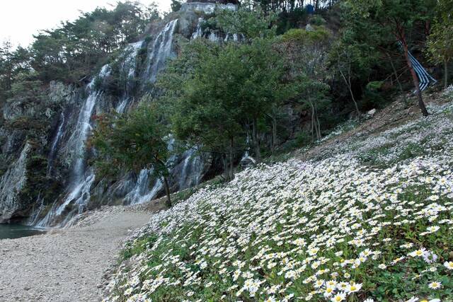 구절초 지방정원 폭포. 사진제공=정읍시