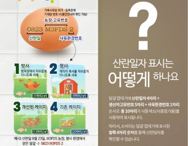 달걀에 적힌 번호는 산란일자와 사육환경 등을 뜻한다. 사진=식품의약품안전처