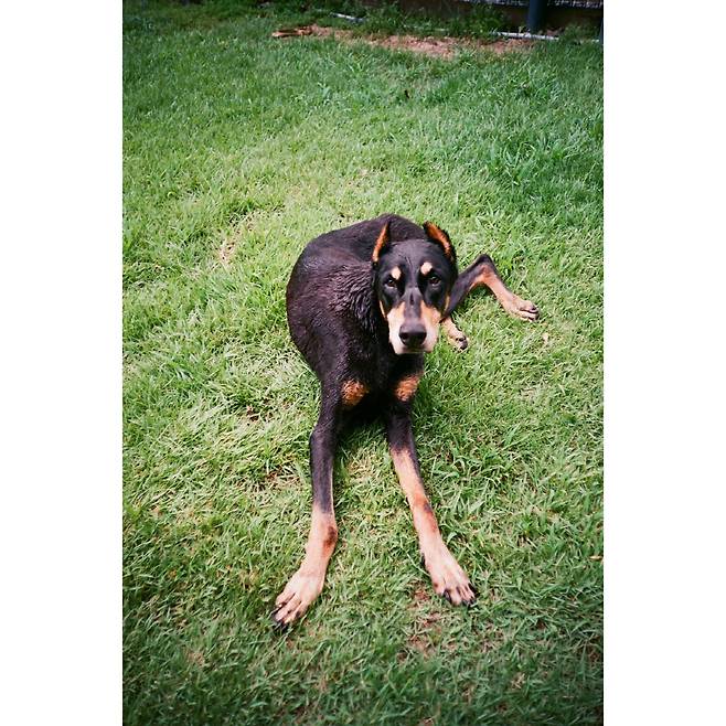 사진 출처=배정남 계정