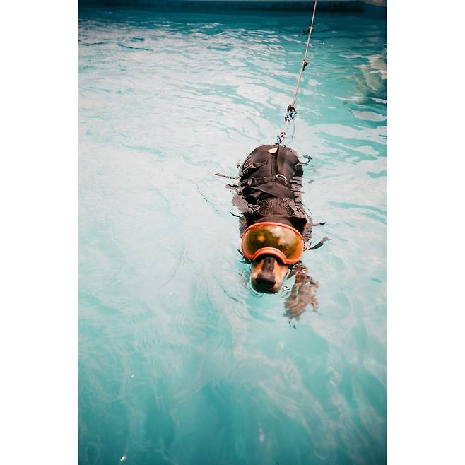 사진 출처=배정남 계정