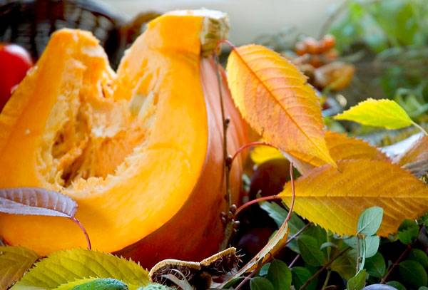 늙은호박은 베타카로틴이 풍부해 면역세포(NK세포)의 활성을 돕는다./사진=클립아트코리아