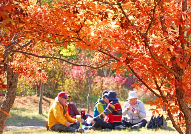 지난해 11월 5일 정읍 내장산을 찾은 등산객들이 울긋불긋 물든 단풍을 배경으로 즐거운 시간을 보내고 있다. 조현욱 기자