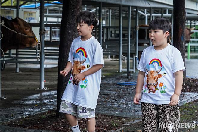 7일 경남 의령군 의령민속경기장에서 열린 ‘추석 소힘겨루기 대회’에서 도영주(10)·도영재(8) 형제가 싸움소 초롱이를 찾아가고 있다.