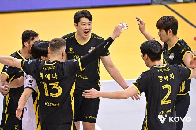 KB손해보험 선수들./KOVO