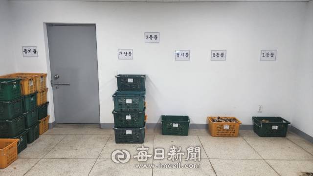 10일 오후, 경북 봉화군 봉화읍 내성리 봉화군산림조합 공판장. 손병현 기자