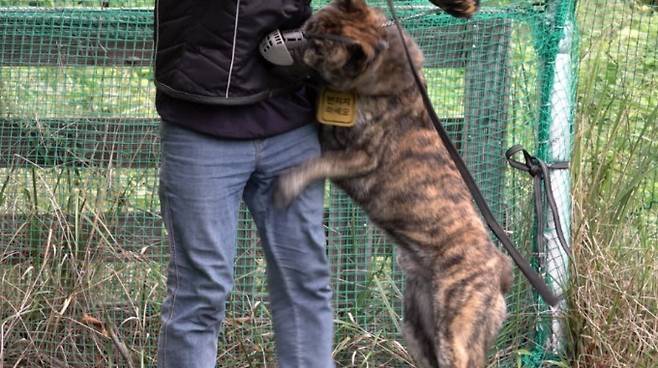 ‘개훌륭’ 사진|KBS