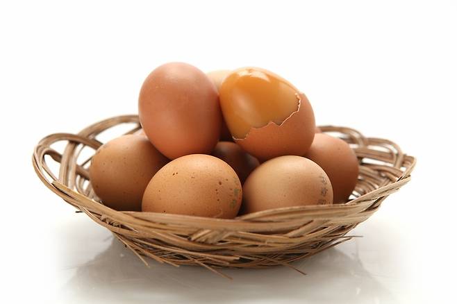 달걀 참고 이미지/사진=게티이미지뱅크