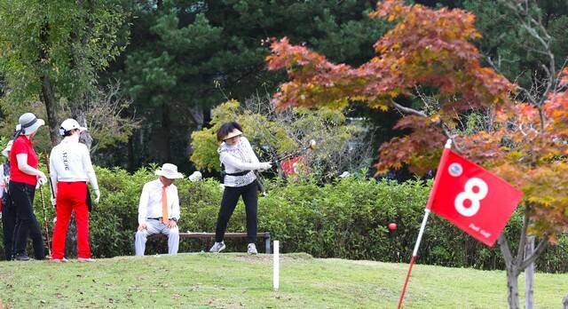 14일 완주군 고산파크골프장에서 열린 제3회 전북일보배 파크골프대회에서 한 참가자가 힘차게 티샷을 하고 있다. 조현욱 기자