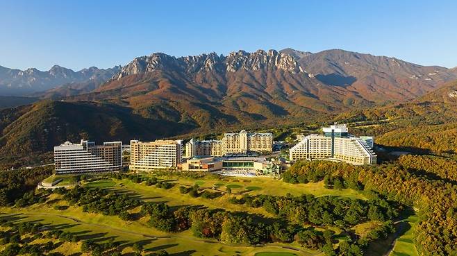 강원도 고성 델피노 리조트. 대명소노그룹 제공