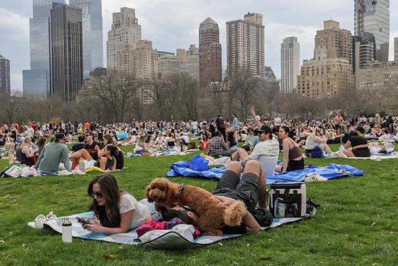 미국 뉴욕 센트럴파크의 쉽메도우 잔디밭에서 시민들이 휴식을 즐기고 있다. 로이터=연합뉴스