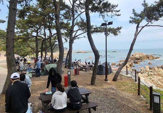 울산 동구 주전 보밑항 피크닉장. 울산매일 포토뱅크