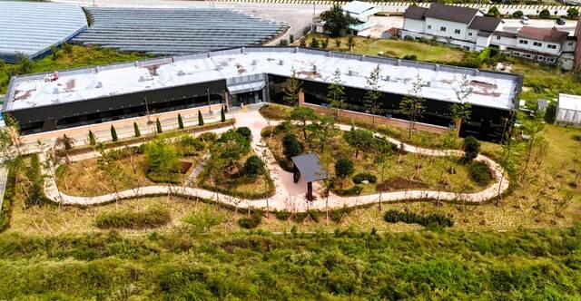 상주시 '2025년 사회복지시설나눔숲'. 숲은 복권기금(산림청·한국산림복지진흥원) 녹색자금 지원을 받아 추진됐다. 상주시 제공