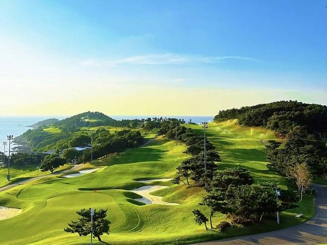 새롭게 금잔디를 심은 AWCC. AWCC 제공