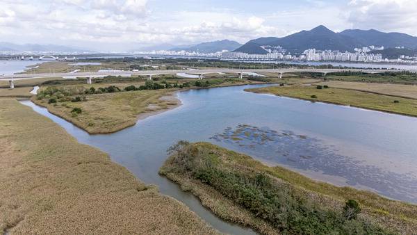 지난 15일 부산 사하구 을숙도 인공 철새도래지 전경. 1997년 조성한 인공 습지를 2008년 개방형 기수습지로 재복원한 곳이다. 습지 가장자리를 따라 물에 잠긴 갯벌이 넓게 펼쳐져 있다. 이원준 기자 windstorm@kookje.co.kr
