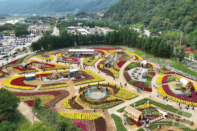 추석 연휴 첫날인 3일 강원 인제군 북면 용대리 일원에서 열린 가을꽃 축제장을 찾은 관광객들이 가을 정취를 만끽하고 있다.(인제군 제공) 2025.10.3/뉴스1