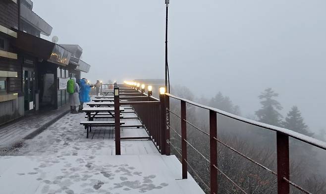 20일 설악산 국립공원 소청대피소 일원에 첫눈이 내리고 있다. 설악산국립공원사무소/연합뉴스 제공