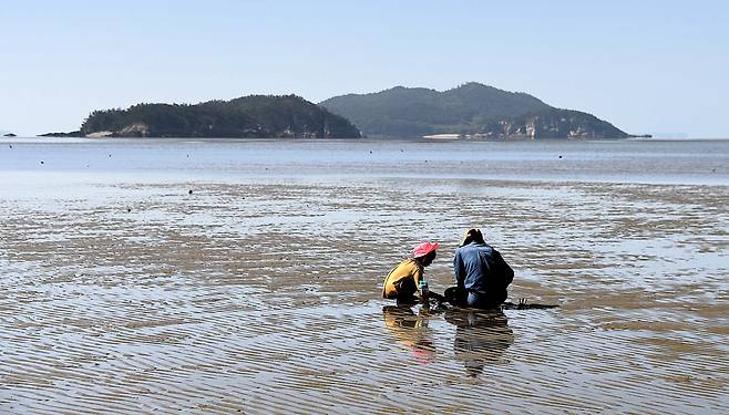 송이도와 각이도 사이에 드러난 풀등.