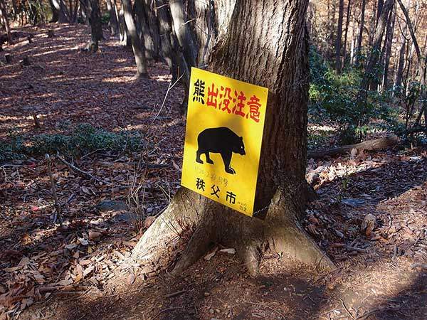 일본 등산로에 설치된 곰 주의 표지판. 사진 위키미디어.
