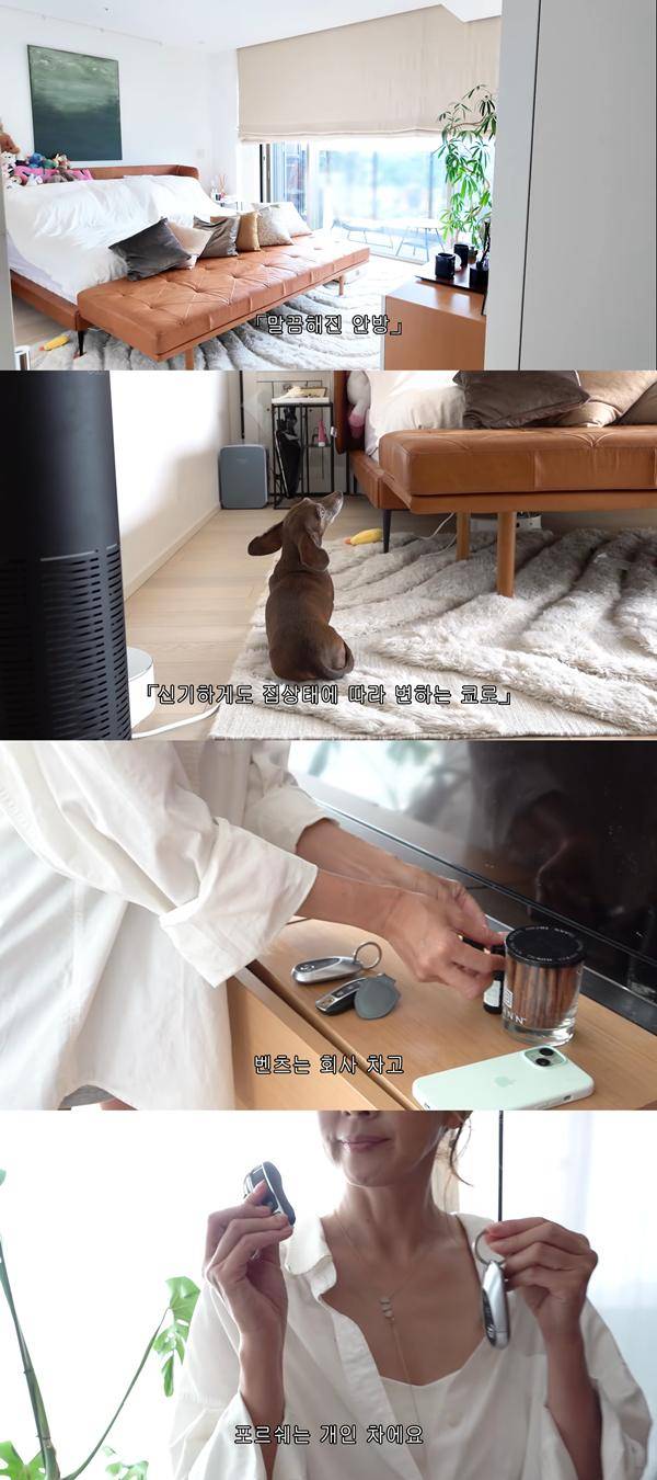 ⓒ유튜브 채널 '야노시호 YanoShiho'