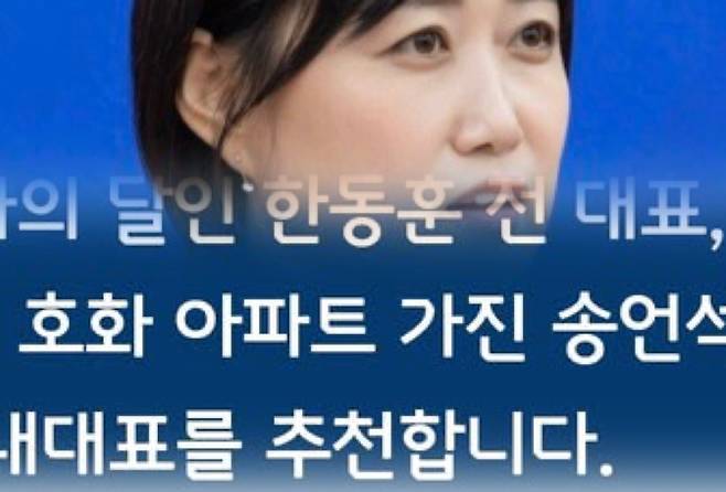 백승아 원내대변인(위), 본인 페이스북 일부 캡처.