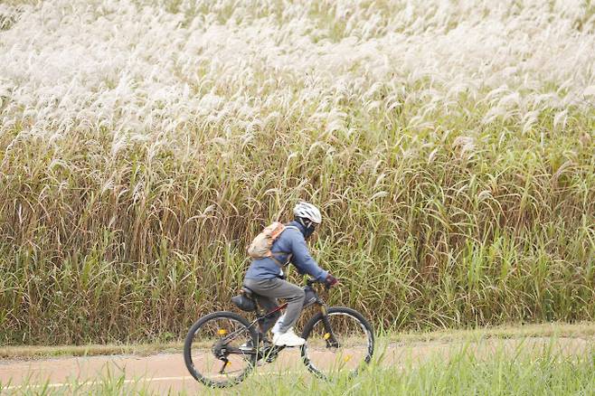 뉴스1 자료사진
