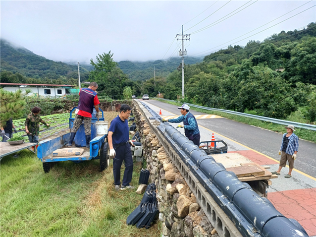 질구내마을에서 주민들이 직접 전통 돌담길을 조성하고 있다. 주민들이 돌과 기와를 이용해 정성스럽게 돌담을 쌓고 있으며, 트럭과 장비를 활용해 시공 작업이 완료되고 있다.