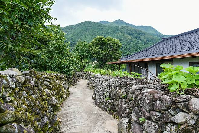 한밤마을의 돌담길은 오래전 사람들의 숨결을 전해준다. /최병일기자